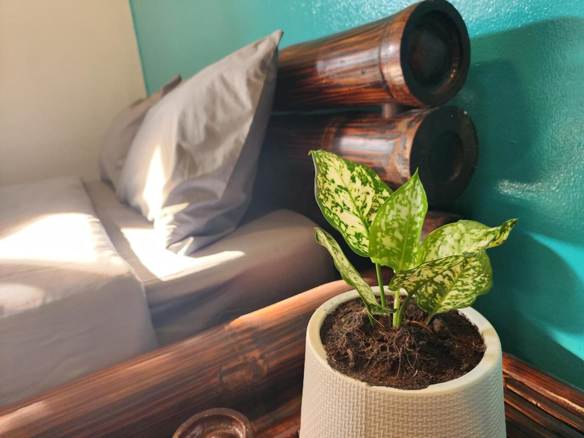Blue Moon House - A Budget Hostel For Easy Travellers Chiang Mai Esterno foto