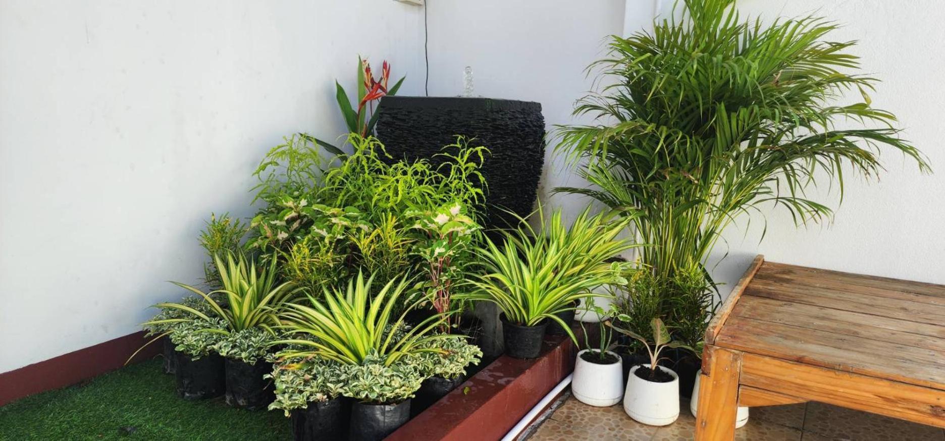 Blue Moon House - A Budget Hostel For Easy Travellers Chiang Mai Esterno foto